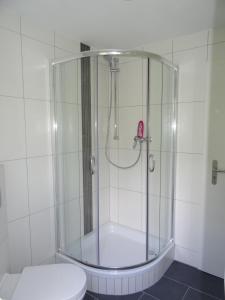 オラニエンブルクにあるSchwedenhaus im Grünenのバスルーム(ガラス張りのシャワー付)が備わります。