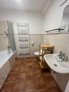 a bathroom with a sink and a tub and a toilet at Litovelské apartmány in Litovel