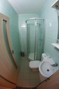 a bathroom with a shower and a toilet and a sink at Pension Thaya in Znojmo