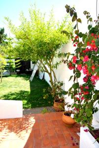 Jardín al aire libre en Casa da Praia -Praia da Barra