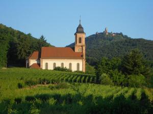 una iglesia en una colina junto a un campo de uvas en Au Coeur Du Vignoble en Orschwiller