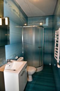 a bathroom with a shower and a toilet and a sink at Agroturystyka Nad Stawem in Górno