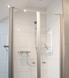 a shower with a glass door in a bathroom at Aaltine 2 in Bad Bentheim