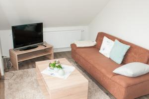 ein Wohnzimmer mit einem Sofa und einem TV in der Unterkunft Aaltine 2 in Bad Bentheim