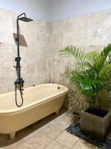 a bath tub in a bathroom with a plant at Zen Home in Jimbaran +5 photos