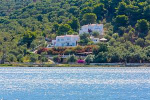 a house on a hill next to a body of water at Villa Ariadni in Skiathos Town