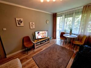 Μια τηλεόραση ή/και κέντρο ψυχαγωγίας στο Apartament Wapienna