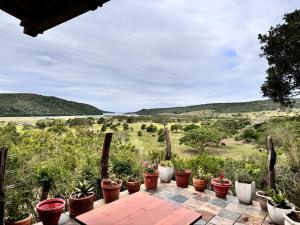 d'une terrasse avec des plantes en pot et une table. dans l'établissement Fish Eagle Cottage, 