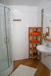 a bathroom with a shower and a sink at Penzion Speller in Vysoký Újezd