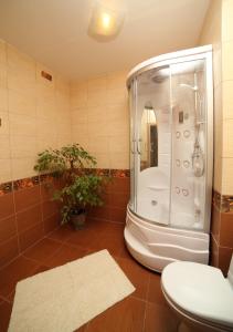 a bathroom with a shower with a toilet in it at Айва, апартаменты in Novosibirsk