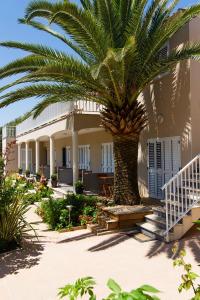 a palm tree in front of a building with stairs at I Casilari in Serra-di-Ferro