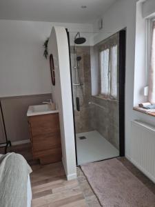 a bathroom with a shower and a sink at chez mamy in Reguisheim +8 photos