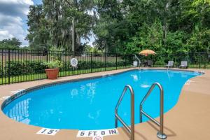 Πισίνα στο ή κοντά στο Comfort Inn & Suites DeLand - near University
