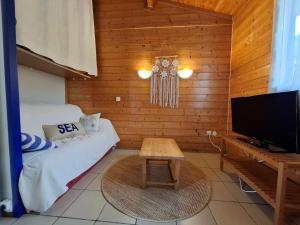 a living room with a couch and a television at Jolie Cabane Océan in Vielle-Saint-Girons