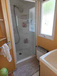 a bathroom with a shower with a glass door at Mobile Home 40m2 6 personnes in Saint-Étienne-de-Chigny +5 photos
