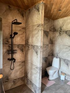 a bathroom with a toilet and a shower at Tamsalu Wallamaja in Tamsalu