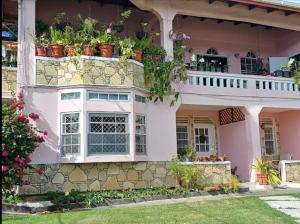 a house with potted plants on the wall at PeachBloom Terrace Inn in Saint Georgeʼs