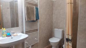 a bathroom with a white toilet and a sink at Penzion TGM in Příbram +30 photos