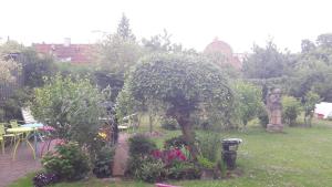 Zahrada ubytování bedandshower