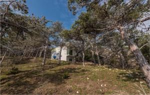 a house on top of a hill with trees at 1 Bedroom Beautiful Apartment In Novalja in Stan Trigraci