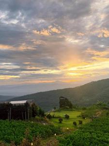 a view of a field with the sunset in the background at Phupetra ภูเปตรา in Ban Thung Phan Ha