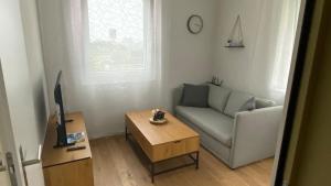 a living room with a couch and a coffee table at FALKE Studio in Spiez in Spiez