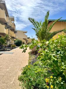 Zahrada ubytování El amanecer + 46 fotografií