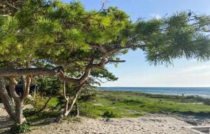 a tree on a beach with the ocean in the background at Beautiful Home In Gotlands Tofta in Västergarn