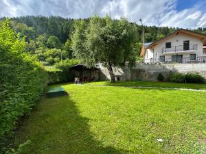 a yard with a tree and a house at Dimaro Apartment in Monclassico