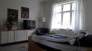 sypialnia z łóżkiem, telewizorem i oknem w obiekcie bedandshower w Kopenhadze