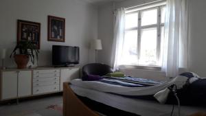 TV a/nebo společenská místnost v ubytování bedandshower