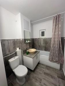 a bathroom with a toilet and a sink and a tub at Apartament Fantasy in Craiova +5 photos