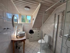a bathroom with a toilet and a sink and a shower at Villa Seeblick in Vissefjärda +88 photos