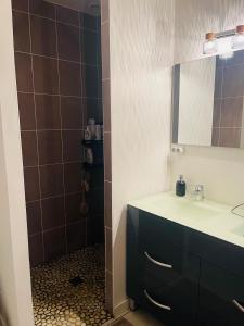 un bagno con lavandino e specchio di "Les Pâturages" Chanas - Maison Entière proche A7, 2 Chambres, 4 Personnes, Jardin Privé, Piscine & BBQ a Chanas Altre 8 foto