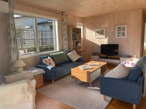 a living room with two blue couches and a tv at Honey Cottage - a cosy cottage in idyllic Tasman Region in Tasman