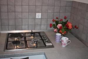 Příslušenství pro přípravu čaje a kávy v ubytování Apartment Borna