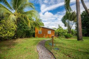 a small house in a yard with palm trees at Sanoa lodge - Bungalow Climatisé in Roussel