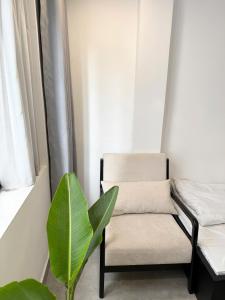a chair and a plant in a room at PHAM Homes in Hai Phong