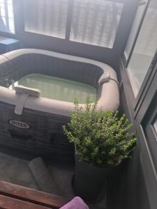 a bath tub in a room with a potted plant at City Sea House in Villaggio San Leonardo