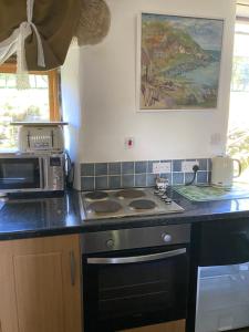 a kitchen with a stove and a microwave at Daffodil in Whitby