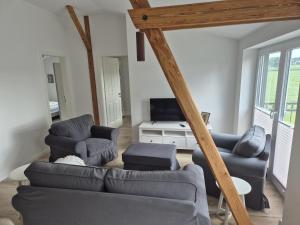 a living room with a couch and chairs and a tv at Schwalbennest, FeWo auf Resthof am NOK, mit Sauna in Steenfeld