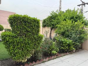 Billede fra billedgalleriet på Eden Plus Hotel-Garden Town i Lahore