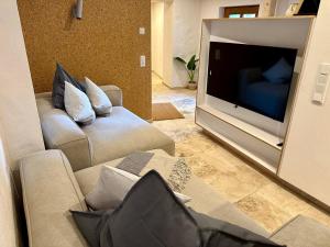 フラインスハイムにあるNeue Neunzehn - Stadthaus, 2DZ, 2Bäder, Kaminのソファと薄型テレビのあるリビングルーム