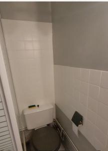 a small bathroom with a toilet in a room at appartement superdevoluy in Le Dévoluy +10 photos