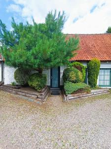 a house with a pine tree in front of a door at House - comfortable - spacious - 15' from Lille in Leers