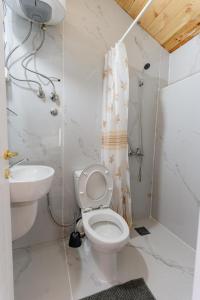 a bathroom with a toilet and a sink at Pelican Bay House - Skadar Lake in Krnjice +17 photos