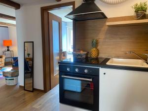 a kitchen with a black stove and a sink at Ferienwohnungen Gisela in Hardegsen in Hardegsen