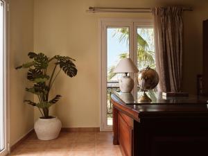 ein Zimmer mit einem Schreibtisch mit einer Pflanze und einem Fenster in der Unterkunft Aristotle Luxury Apartment with Sea View in Argassi