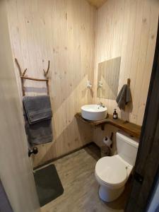 ビルチェスにあるTiny house Roble en Vilches altoの白いトイレと洗面台のあるバスルーム