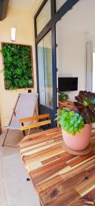 Una habitación con una mesa con una planta en maceta encima. en Studio port santa lucia, en Saint-Raphaël 13 fotos más